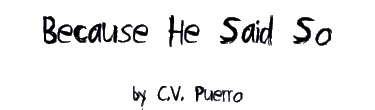 BECAUSE HE SAID SO by C.V. Puerro