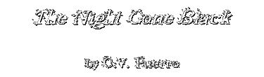 THE NIGHT GONE BLACK by C.V. Puerro