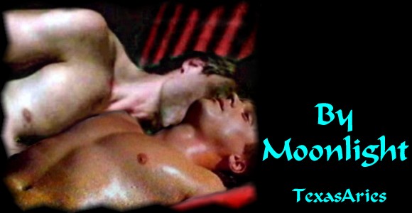 BY MOONLIGHT by TexasAries