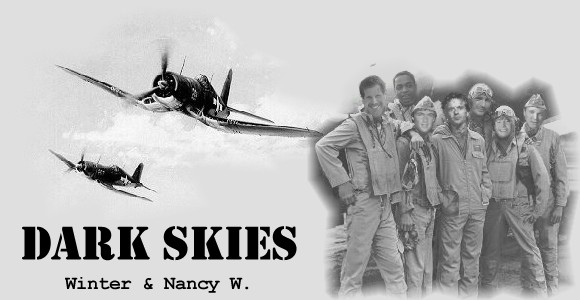 DARK SKIES by Winter & 
Nancy W.