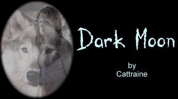 DARK MOON SERIES by Cattraine