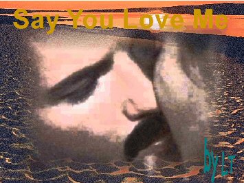 SAY YOU LOVE ME by LT
