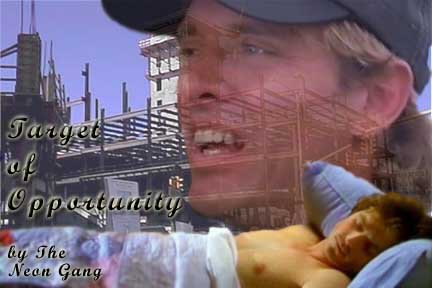 TARGET OF OPPORTUNITY by The Neon Gang