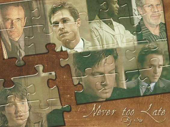 NEVER TOO LATE by SueM