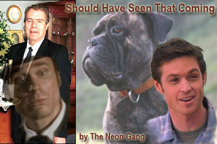 SHOULD HAVE SEEN THAT COMING by The Neon Gang