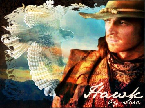 Hawk by Sara