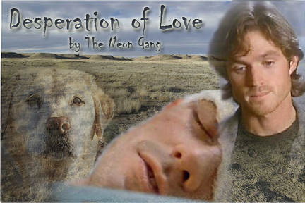 Desperation of Love by The Neon Gang