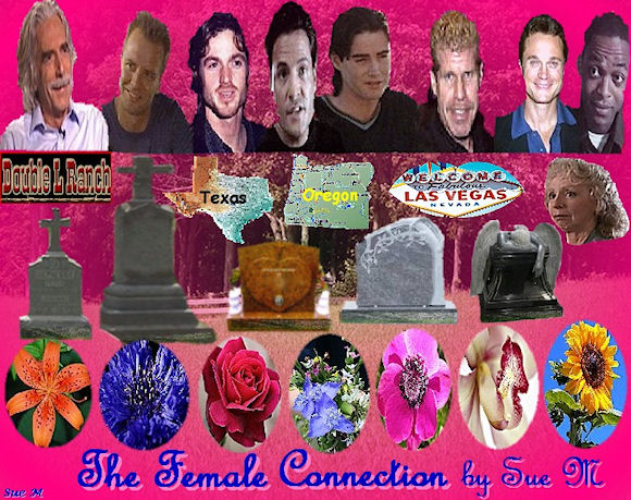 The Female Connection by Sue M