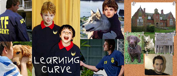 Learning Curve by KT