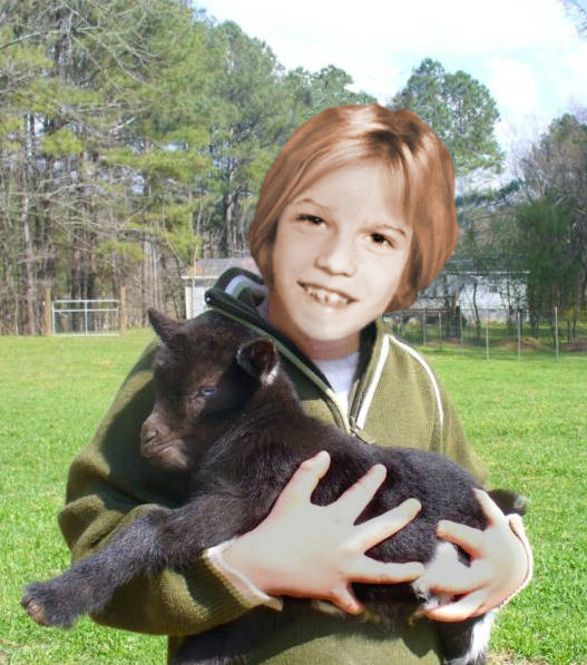baby goat