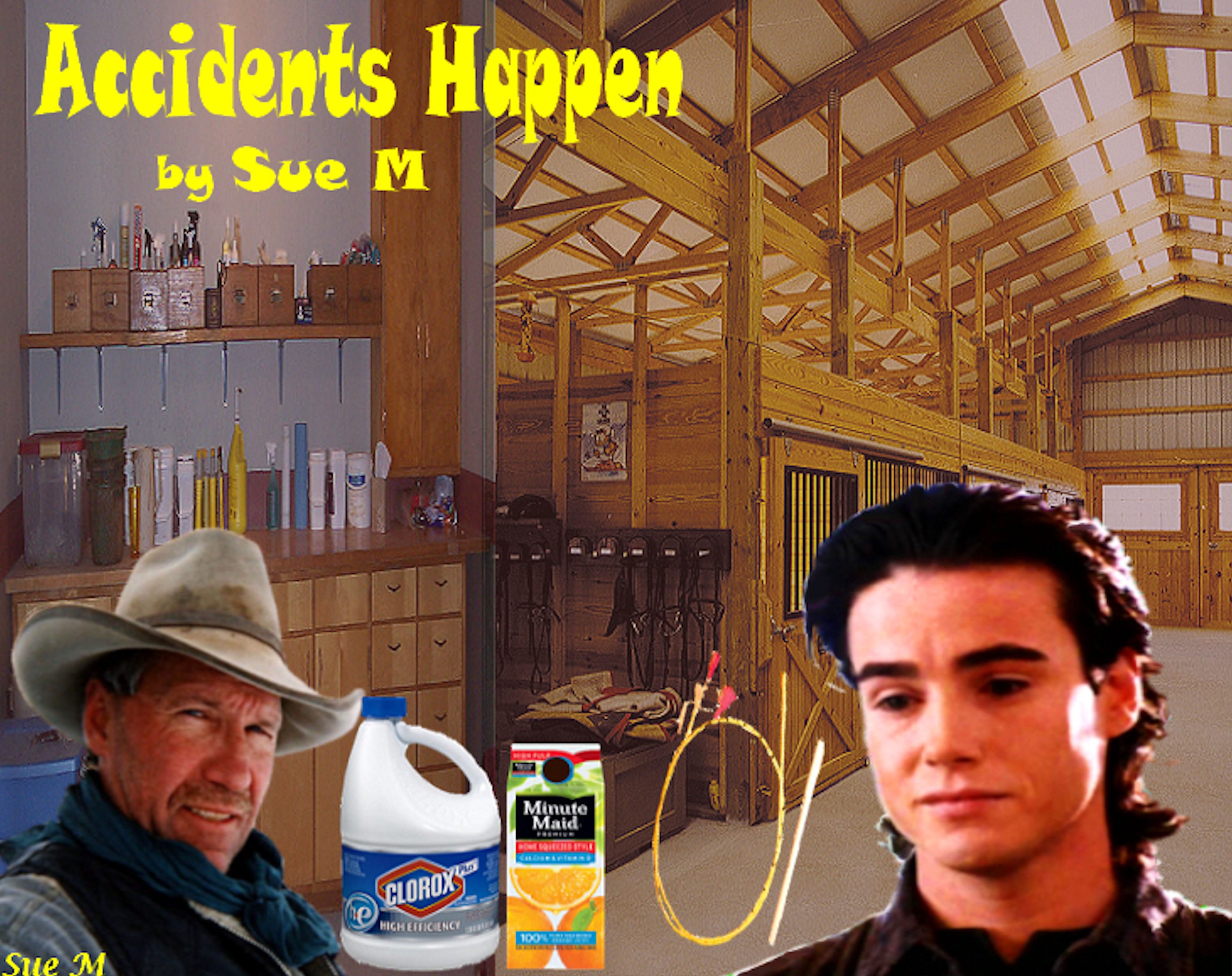 Accidents Happen by Sue M