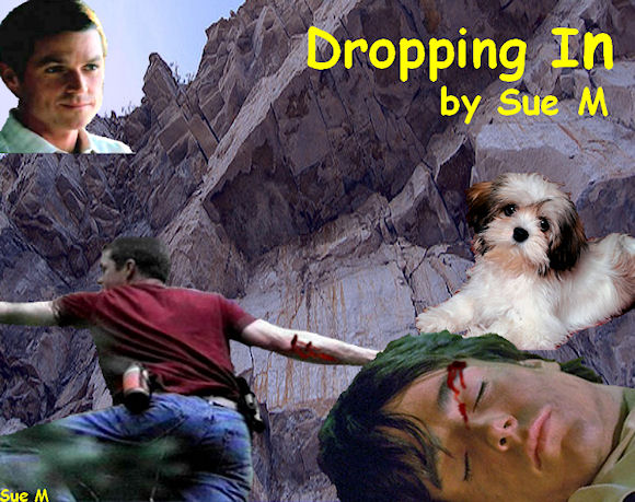 Dropping In by Sue M