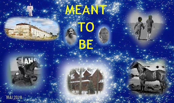 Meant to Be