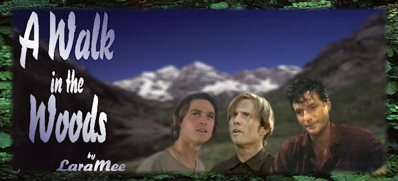 A Walk in the Woods by LaraMee