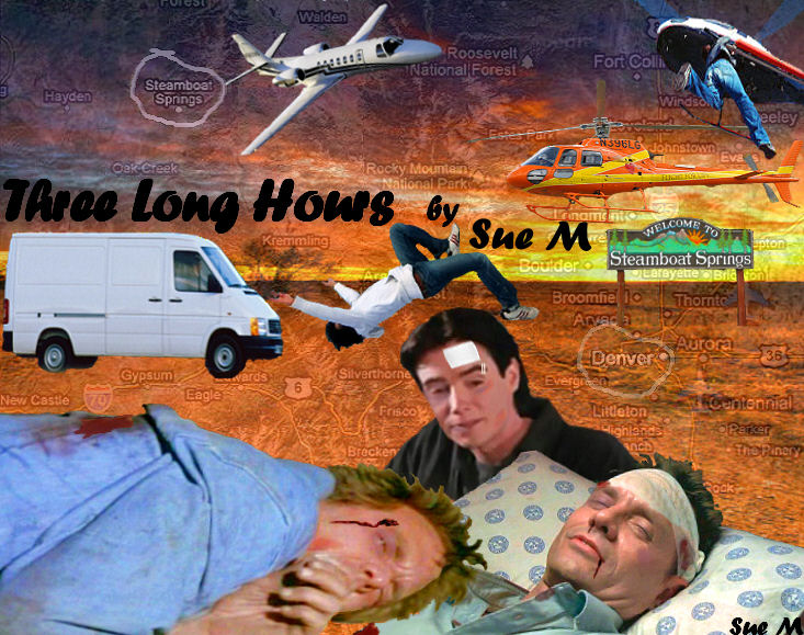 Three Long Hours by Sue M