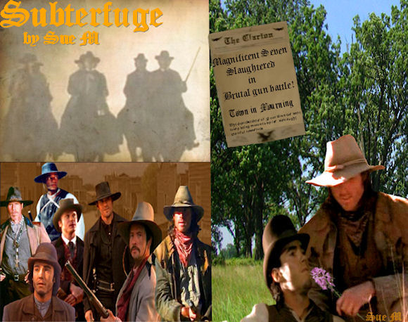 Subterfuge by Sue M