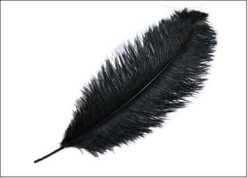 black feather