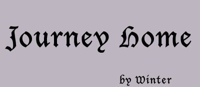 JOURNEY HOME by Winter