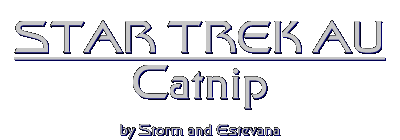 e-mail comments to Estevana and Storm